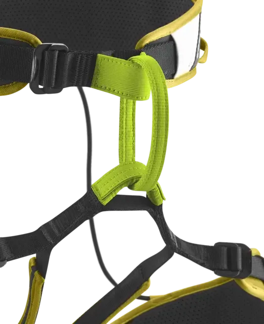 Zack Gym II