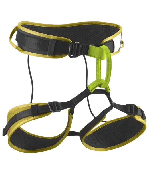 Zack Gym II