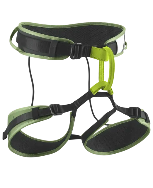 Zack Gym II