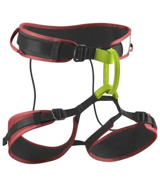 Zack Gym II