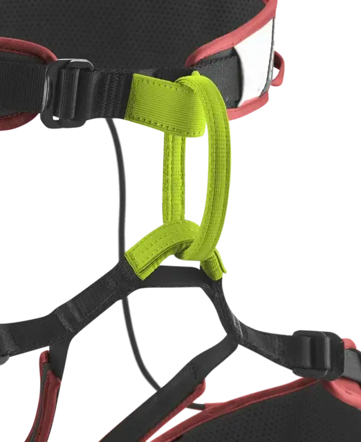 Zack Gym II